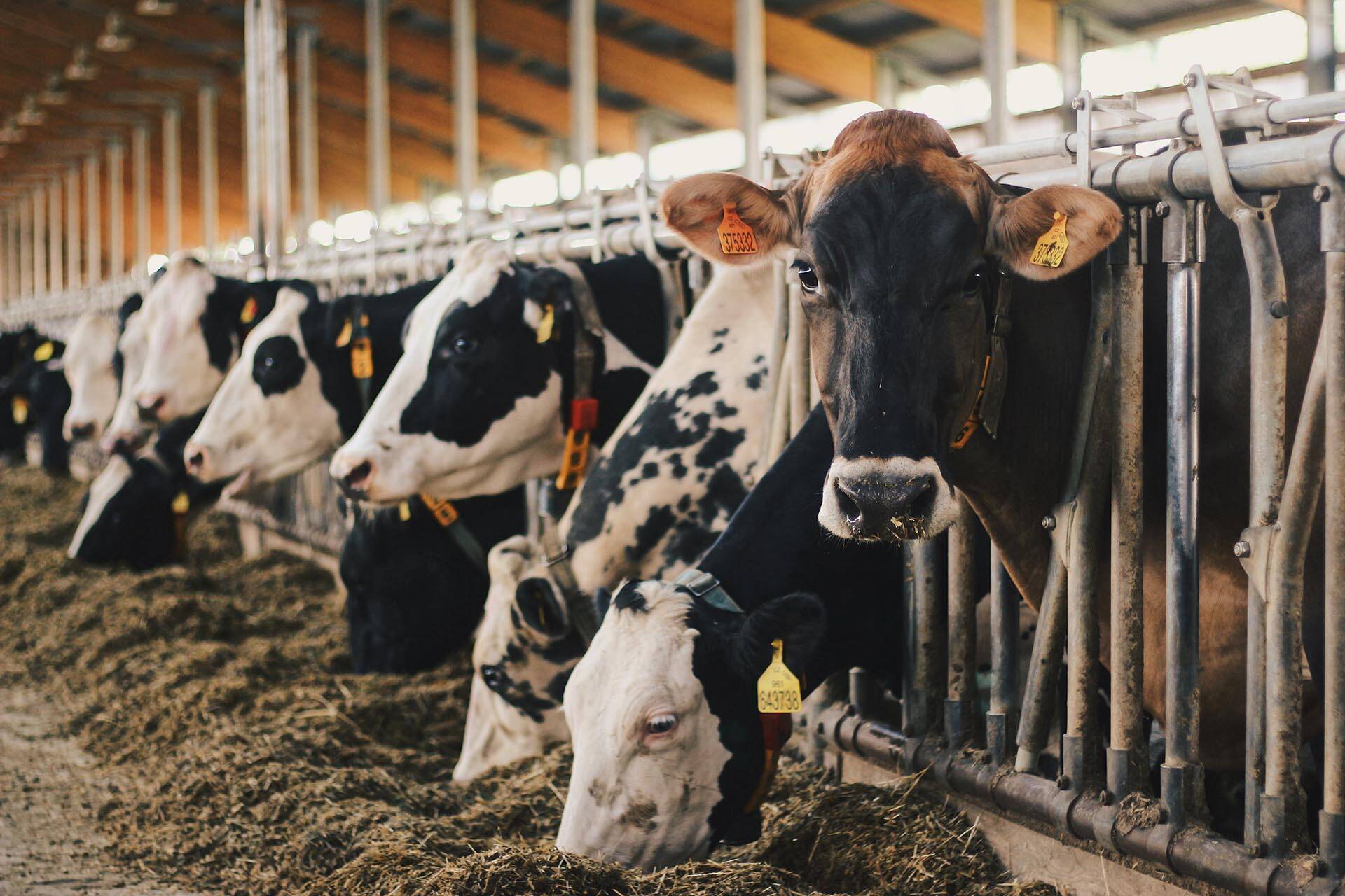 Letní podnikatelský kemp 2019 na zámku Vilémov