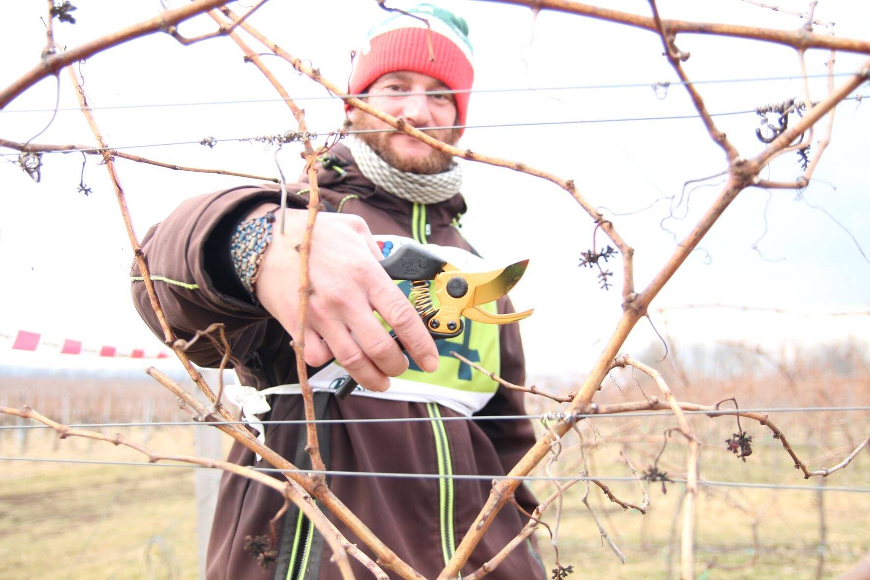 AGROTEC Group byl partnerem Mistrovství republiky v řezu révy vinné!  