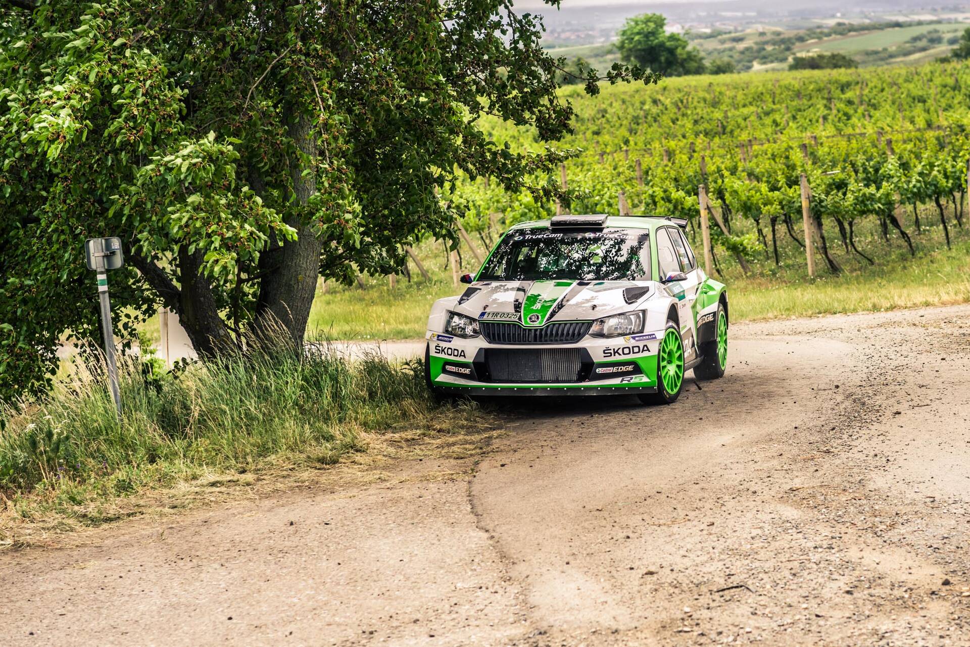 Jan Kopecký na SportLife rally show 2017