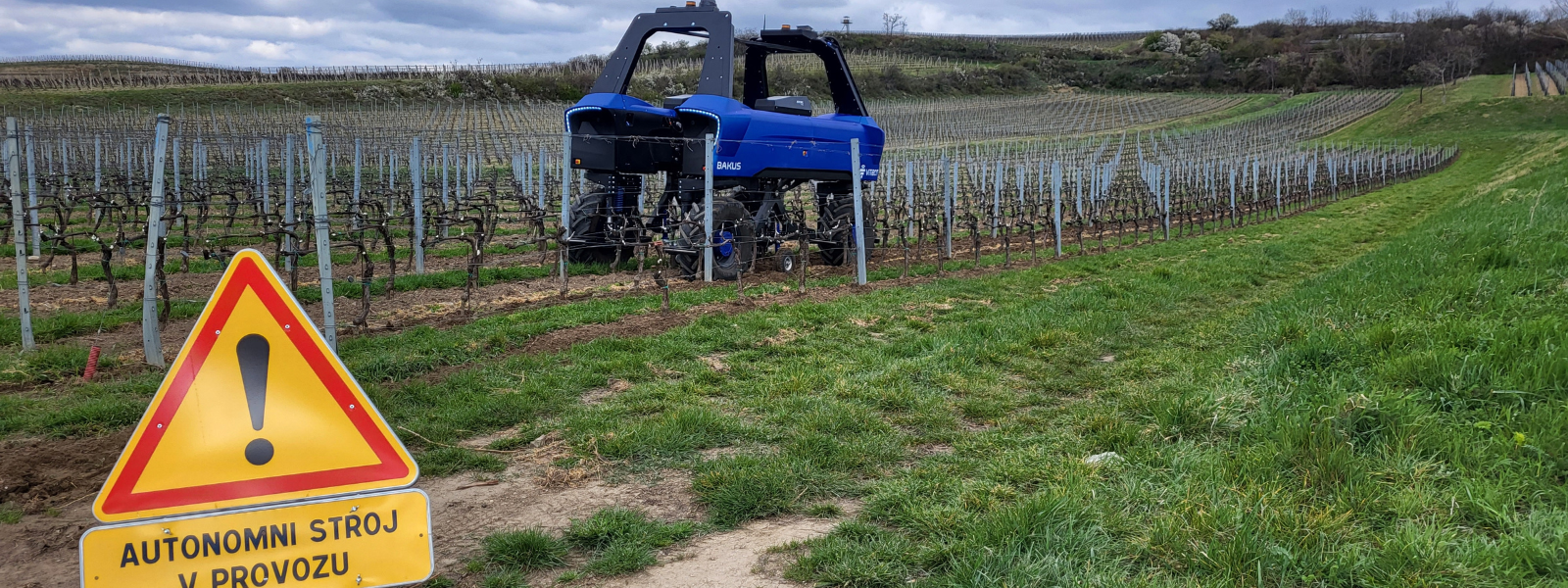 Dvě vinařství na Břeclavsku budou mít ve vinohradu robota!